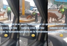 “Hay esperanza en la humanidad”: policía de tránsito le da comida a un perrito callejero y escena conmueve en redes