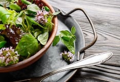 Comer para vivir: Lechuga y pacientes hipertensos