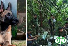 Continúa perdido el perro que encontró a los cuatro niños desaparecidos en Colombia