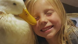 La adorable historia de amistad entre una niña y su pato