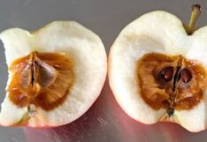 Comer para vivir: ¿Fruta perfecta por fuera, pero dañada por dentro?