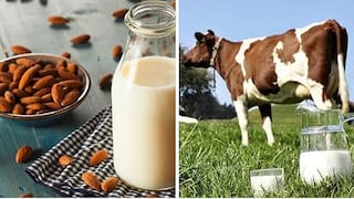 Conoce los beneficios de la leche de almendras vs la leche de vaca