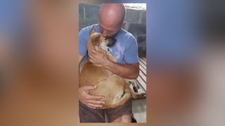 Un perrito es rescatado del festival de carne de perros en Camboya y su reacción conmueve las redes