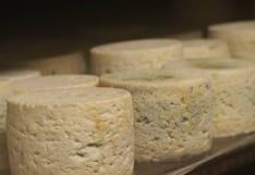 Comer para vivir: Cómo se transforma la leche en queso