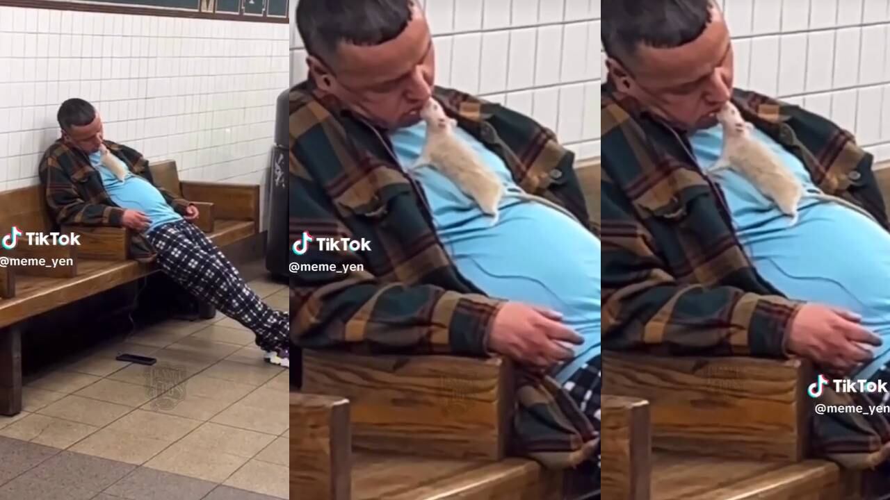 El hombre se quedó dormido en el Metro. (Foto: composición EC)