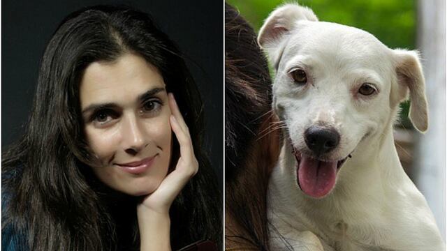 Vanessa Saba alegra a seguidores tras promover adopción de perros abandonados