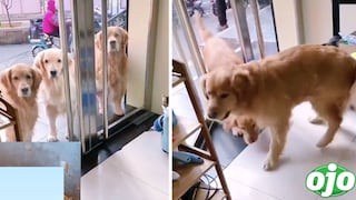 Perrito abre la puerta de su casa para que sus hermanos entren a jugar | FOTO