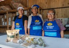 Un jardín de plantas medicinales