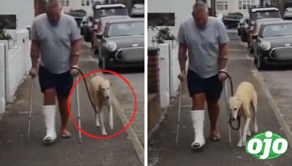 Ojo - Perrito imita a su dueño