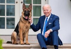 Estados Unidos: perro del presidente Joe Biden muerde a personal de la Casa Blanca | VIDEO