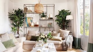 Consejos para decorar con plantas el hogar