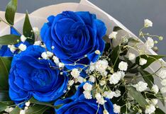 Rosas azules para ellos en San Valentín