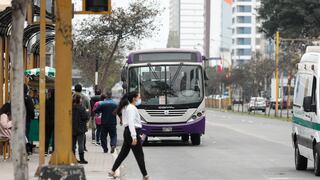 Corredor Morado no funcionará desde este 4 de marzo: ¿Por qué se da esta medida?