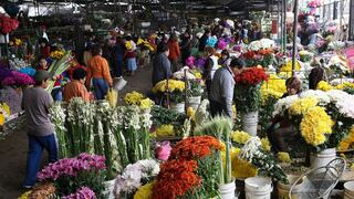 Desechos orgánicos del mercado de flores serán convertidos en abono