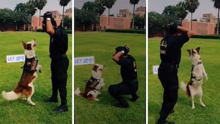 Perrito realiza baile junto a su compañero policía y enternece a usuarios | VIDEO