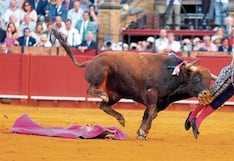 Torero famoso escapa de toro en el ruedo y este lo cornea por el trasero