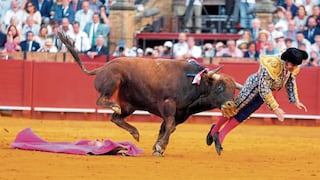 Torero famoso escapa de toro en el ruedo y este lo cornea por el trasero