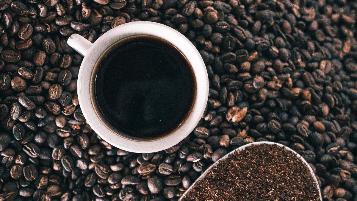Los cafetaleros buscan proteger sus cultivos de los efectos del cambio climático. (Foto: Unsplash).