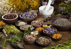 Adaptógenos: qué son y qué dice la ciencia