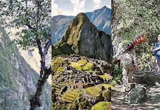 Turista cae a profundo barranco al caminar hacia la ciudadela de Machu Picchu