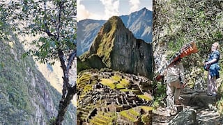 Turista cae a profundo barranco al caminar hacia la ciudadela de Machu Picchu