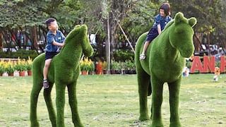 Todos los niños quieren montar caballitos verdes que son la sensación