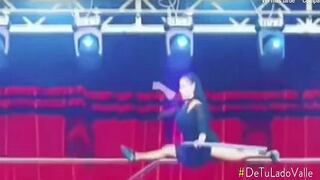 Experimentada acróbata muere durante arriesgara presentación en circo (VIDEO)