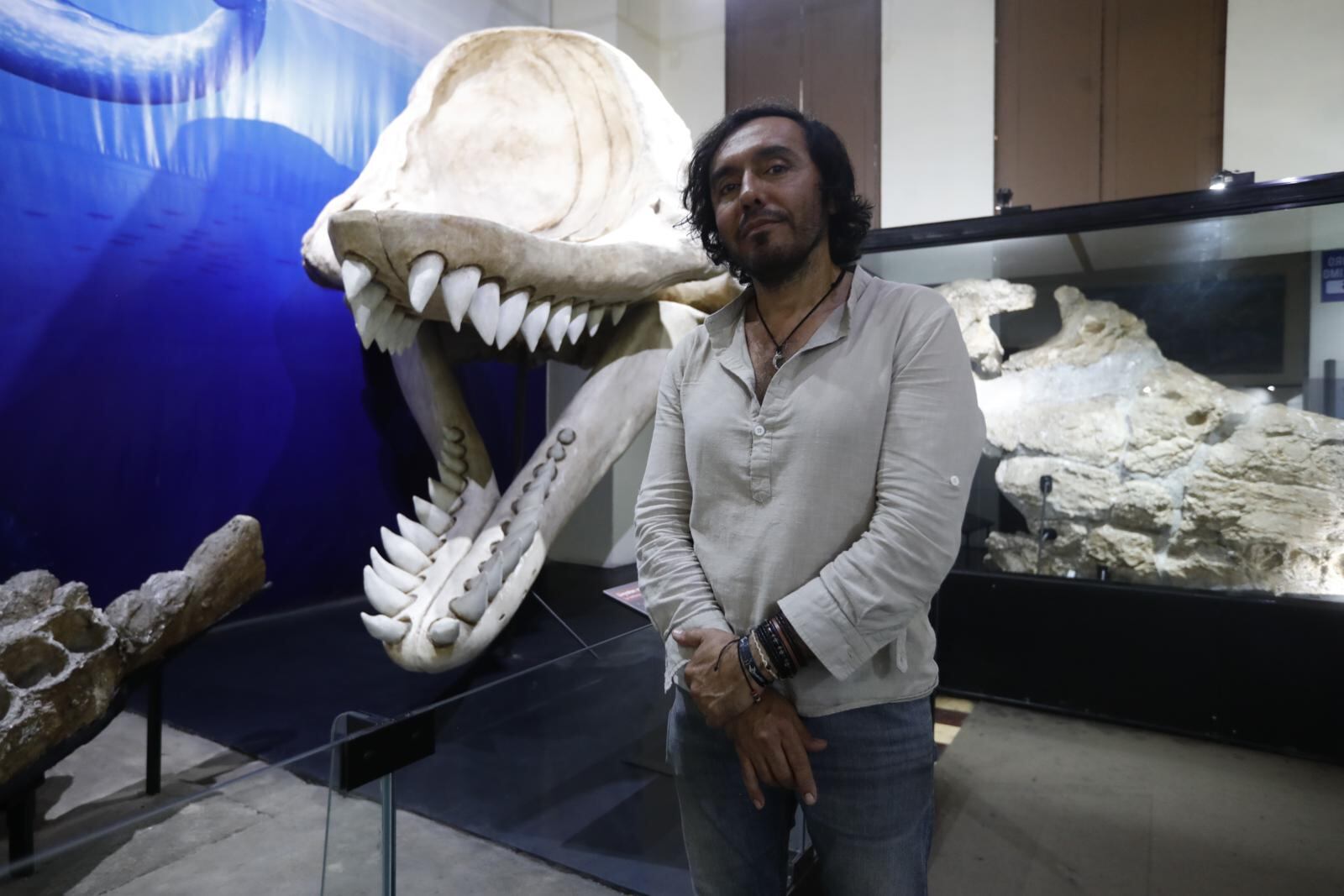 El paleontólogo Rodolfo Salas-Gismondi junto a los fósiles de “Livyatan melvillei”, ballena asesina o el mayor depredador marino del Perú.