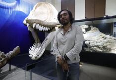 Tesoros de la prehistoria