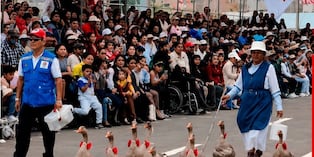Batallón de gansos patriotas desfiló por el Perú