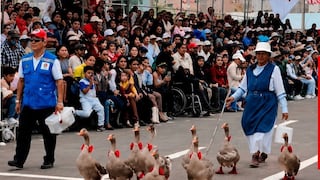 Batallón de gansos patriotas desfiló por el Perú