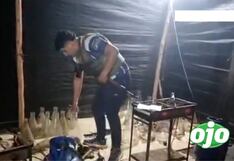 PNP halla laboratorio clandestino de drogas y detiene a dos personas en Carabayllo (VIDEO)