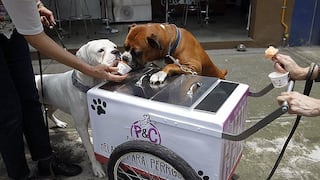​Perros eligen sabor de sanos helados veganos elaborados para ellos