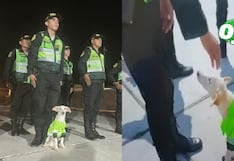 “Sultán”: Perrito adoptado por PNP de Catacaos es tendencia en redes sociales