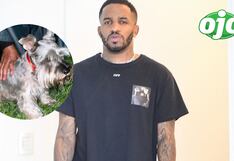 Jefferson Farfán rescató a perrito perdido en vía pública: “Lo tenemos en casa”