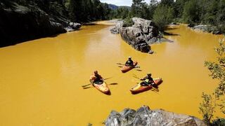 Trabajadores de protección ambiental derraman tóxicos en río y lo matan