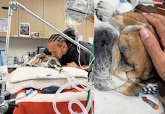 Fórmula 1: Lewis Hamilton se quiebra al despedir a su perro Roscoe