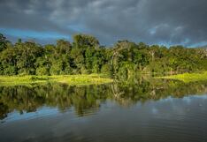 Cuestionan construcción peligrosa de carretera cerca a parque nacional en Madre de Dios