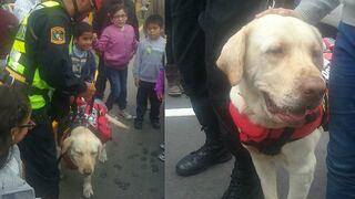 Parada Militar: Rocky, el valiente perro de la Policía de Carreteras [VIDEO]
