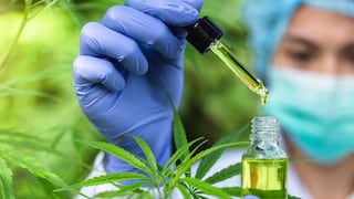 Marihuana medicinal se venderá en 24 farmacias limeñas 