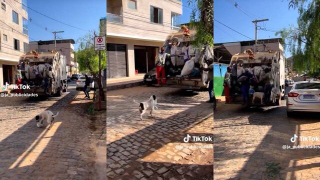 Perrito conmueve en redes al desempeñarse como recolector de basura junto a sus dueños