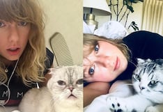 Declaran “ilegales” a los gatos de la estrella del pop Taylor Swift