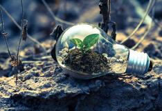 Ministerio del Ambiente entrega estrella del Programa Huella de Carbono