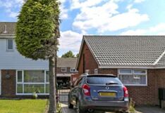 Árbol cortado por la mitad en guerra entre vecinos es atracción turística