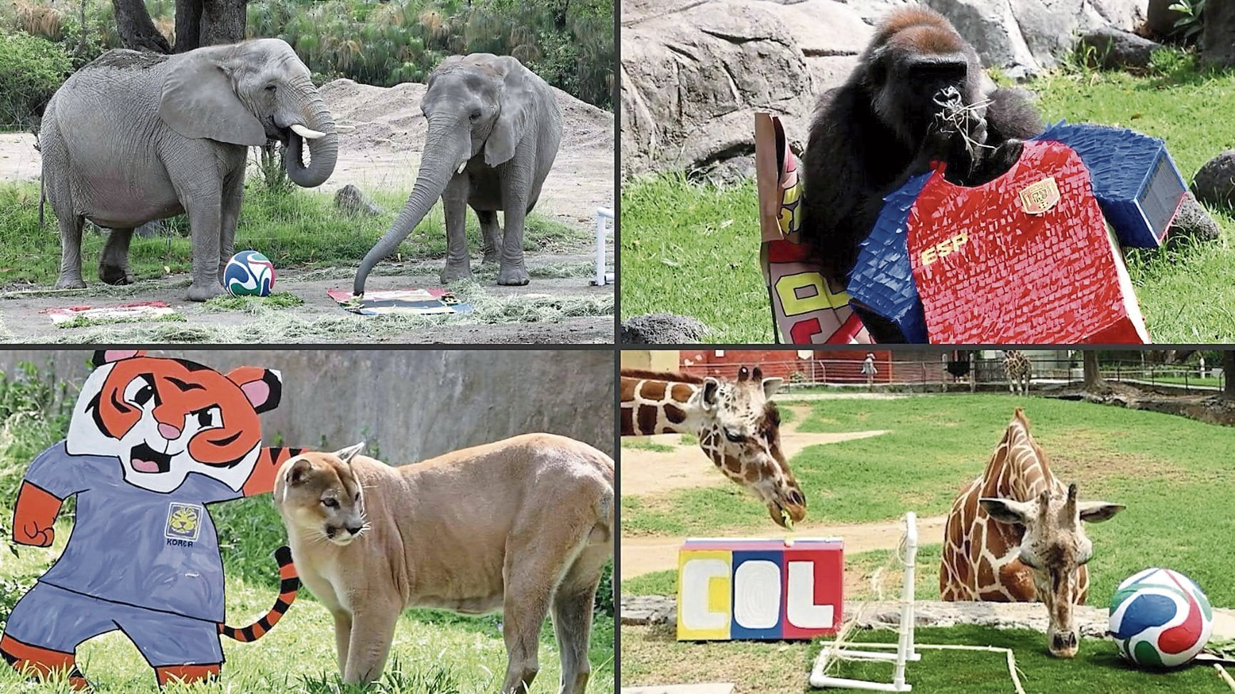 Dentro del zoológico, en Mexico, estos animalitos