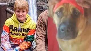 Incendios en Estados Unidos: un niño fue hallado sin vida y abrazado a su perro en Oregón