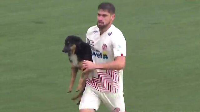Un perrito entró a la cancha durante el UTC vs. Sporting Cristal: la imagen se volvió viral