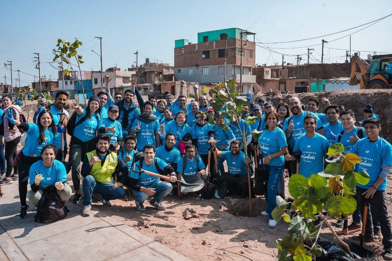 La Fundación Telefónica movilizó a más de 1000 voluntarios que sembraron 7000 árboles en 23 ciudades del país. Foto: Difusión.