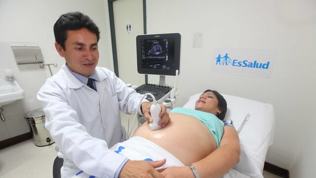 Zika: EsSalud recomienda a mujeres con sospecha de embarazo acudir a especialistas  