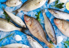 Comer para vivir: Diferencias entre pescado blanco y pescado azul